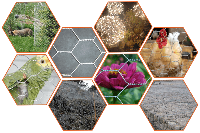 Galvanized hexagonal wire mesh