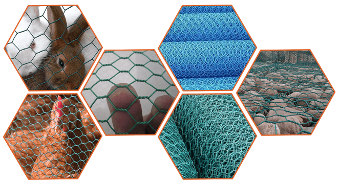 PVC coated hexagonal wire mesh