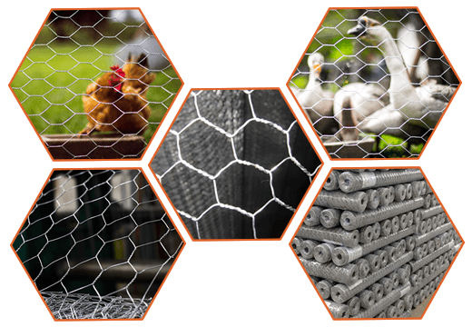 Steel hexagonal wire mesh